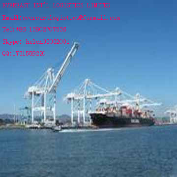 Container shipping to GDYNIA,RUSSIA from Shanghai,China